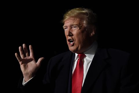US-Präsident Donald Trump ist selbsternannter Experte für Waldbrände