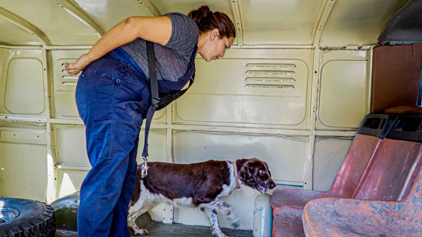 Die kubanische Kriminalbeamtin Wendy Reyes Peralta mit ihrem Spürhund im Einsatz