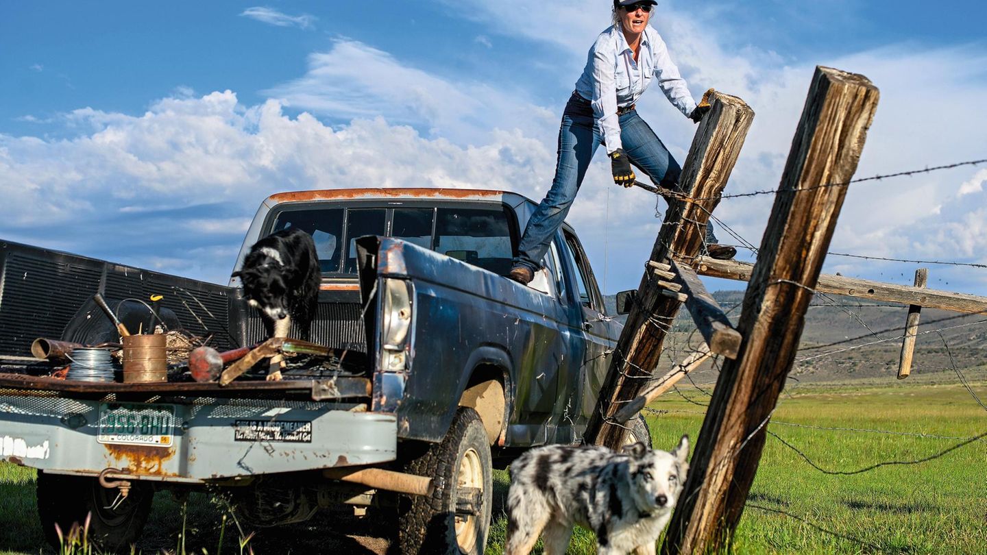 Caitlyn Taussig repariert Zäune