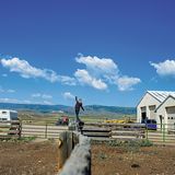 Bild einer Ranch. Auf einem Zaungeländer balanciert Wendy Eller