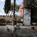 Ein Hod, Israel: Ein Teil der Berliner Mauer vor dem Janco-Dada-Museum im Norden Israels. Zwischen Israel und den palästinensischen Autonomiegebieten steht heute ebenfalls eine Mauer.