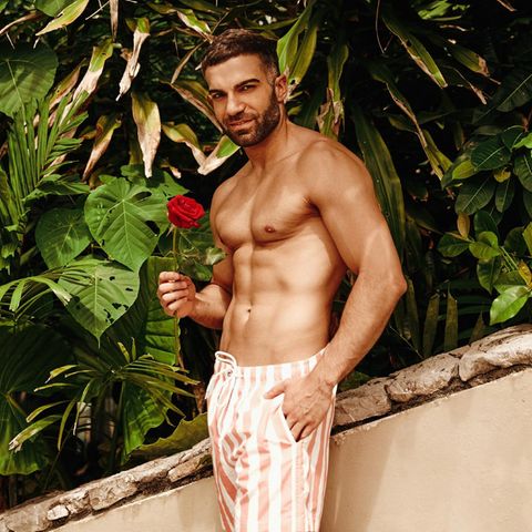 Rafi Rachek als Kandidat bei "Bachelor in Paradise"