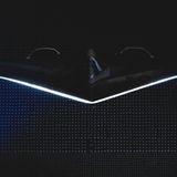 Typisch ist die strake Pfeilung der Flügel.