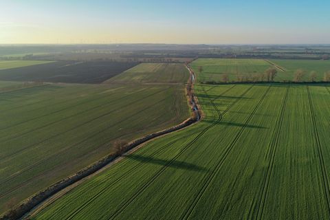 Ackerland in Brandenburg