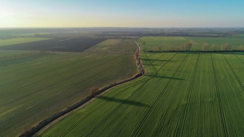Aldi Erben Kaufen Ackerland In Ostdeutschland Die Bauern Argern Sich Stern De