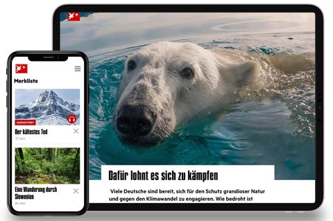 Teaserbild stern+