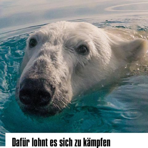 Teaserbild stern+