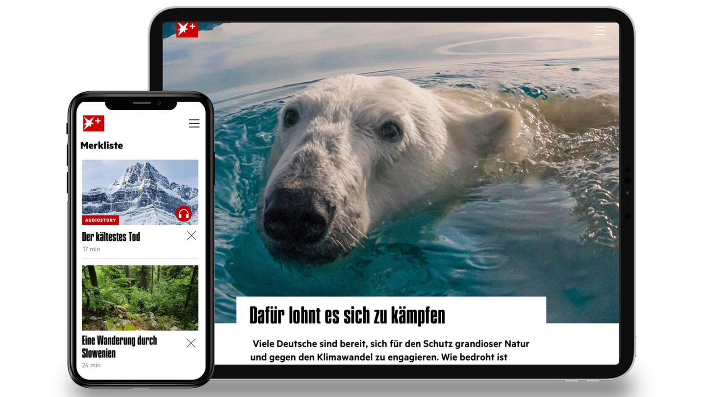 Teaserbild stern+