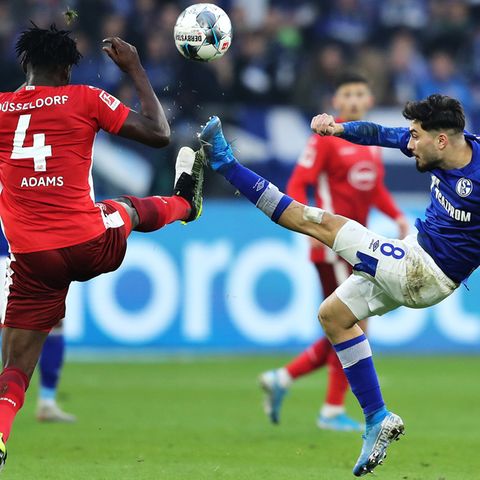 Schalke und Düsseldorf