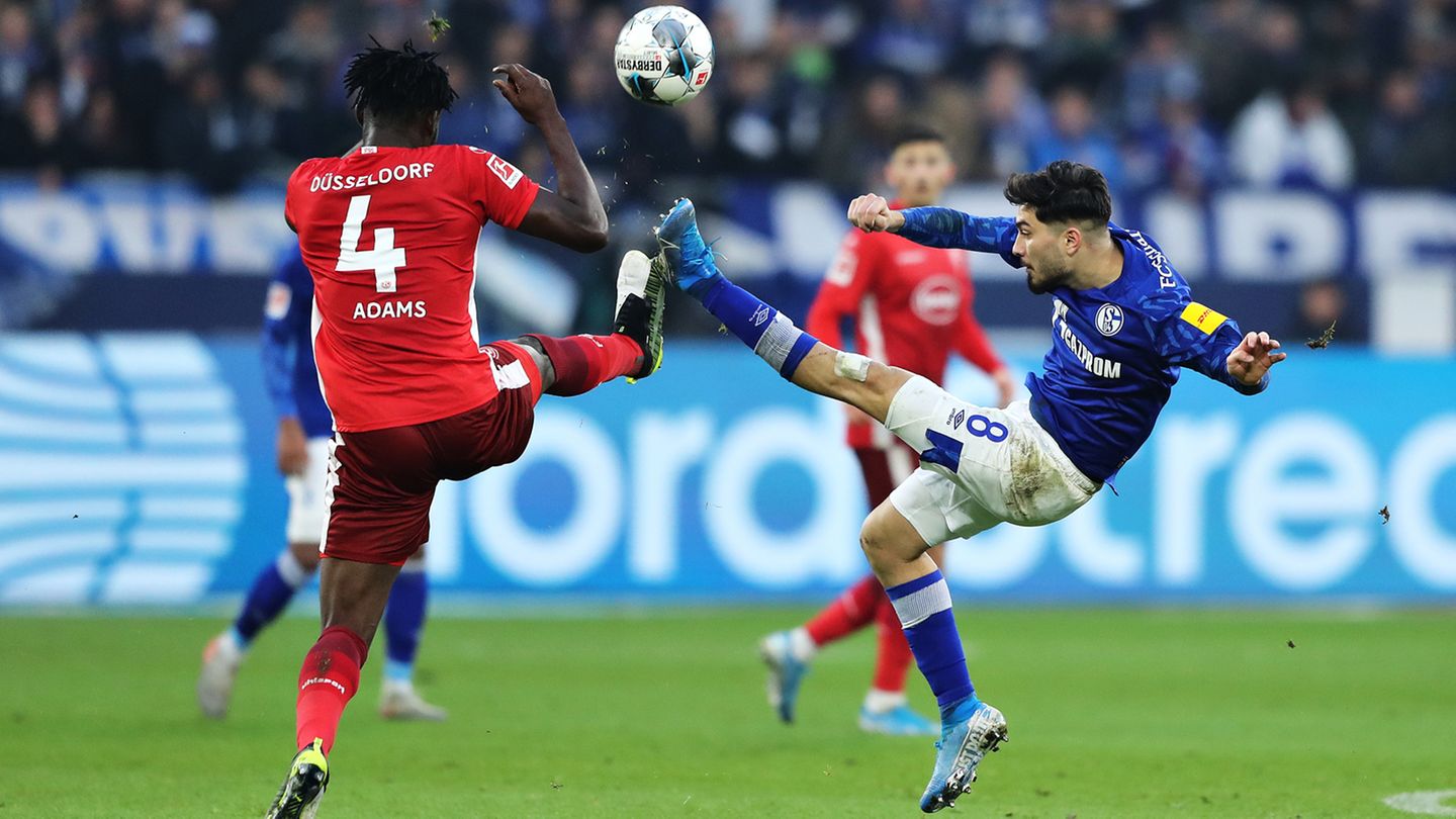 Schalke und Düsseldorf