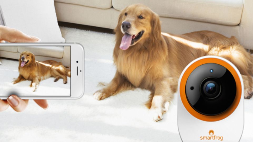 Den Hund von überall im Blick: Mit Smartfrog sehen Sie jederzeit via Smartphone in die eigenen vier Wände hinein. Gewinnen Sie eine Komplettlösung für Heimsicherheit bestehend aus IP-Kamera, App und Videospeicher. Wir verlosen 3x ein Sicherheitspaket im Gesamtwert von 1.000 Euro. www.smartfrog.de