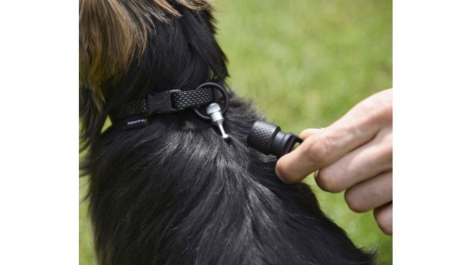 Jetzt mitmachen und gewinnen: Sicher verbunden mit Ihrem Hund: Das innovative Magnet-Befestigungssystem „GoLeyGo 2.0 by Kerbl“ bietet Ihnen eine sichere Verbindung zu Ihrem Liebling! Wir verlosen 5x eine GoLeyGo 2.0 Führleine „Rope“ inklusive Pin für je 35 Euro. www.kerbl.de Sicher verbunden mit Ihrem Hund: Das innovative Magnet-Befestigungssystem „GoLeyGo 2.0 by Kerbl“ bietet Ihnen eine sichere Verbindung zu Ihrem Liebling! Wir verlosen 5x eine GoLeyGo 2.0 Führleine „Rope“ inklusive Pin für je 35 Euro. www.kerbl.de
