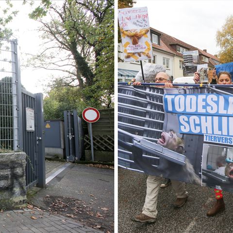LPT-Zentrale in Hamburg; Demonstration gegen Tierversuche