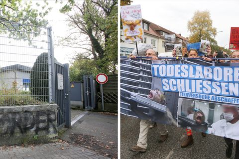 LPT-Zentrale in Hamburg; Demonstration gegen Tierversuche