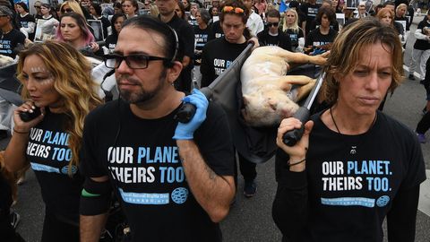 Aktivisten protestieren mittlerweile fast auf der ganzen Welt gegen das Schlachten von Tieren, hier im Juni 2019 in Los Angeles