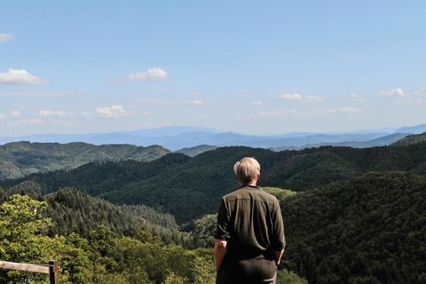 Ulrich Tukur lässt den Blick in das bewaldete Gebirge schweifen