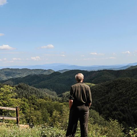 Ulrich Tukur lässt den Blick in das bewaldete Gebirge schweifen