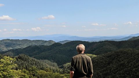 Ulrich Tukur lässt den Blick in das bewaldete Gebirge schweifen