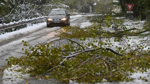 Abgebrochene Äste behindern den Verkehr nach Schneefällen in Südfrankreich