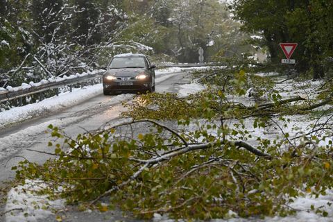 Abgebrochene Äste behindern den Verkehr nach Schneefällen in Südfrankreich