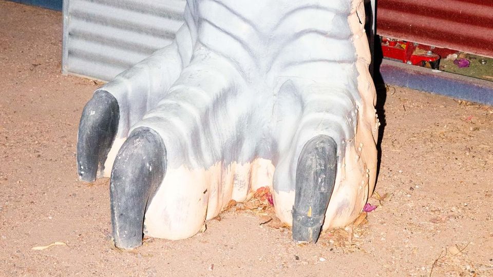 VOE JWD JOKO WINTERSCHEIDTS DRUCKERZEUGNIS AUSGABE 16/2019 aussie_prritzel Was macht der Fuß da? Winton ist die Dino-Capital Australiens