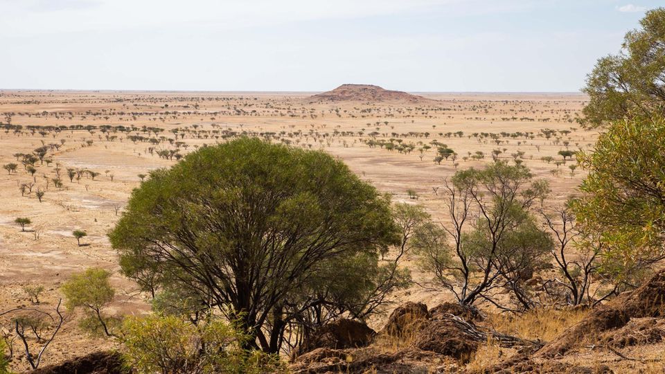 VOE JWD JOKO WINTERSCHEIDTS DRUCKERZEUGNIS AUSGABE 16/2019 aussie_pritzel Sieht aus wie im Western? Genau deswegen kommen immer mehr Filmcrews, um rund um Winton zu drehen