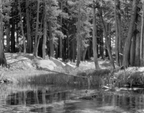 Mit diesen Fotos hat Ansel Adams das Yosemite Valley weltberühmt