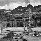 Mount Ansel Adams