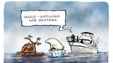 Orang-Utan auf einem Holzstamm, Eisbär auf einer Scholle im Meer. Mann auf einem Boot: "Whale-Watching war gestern".