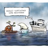 Orang-Utan auf einem Holzstamm, Eisbär auf einer Scholle im Meer. Mann auf einem Boot: "Whale-Watching war gestern".