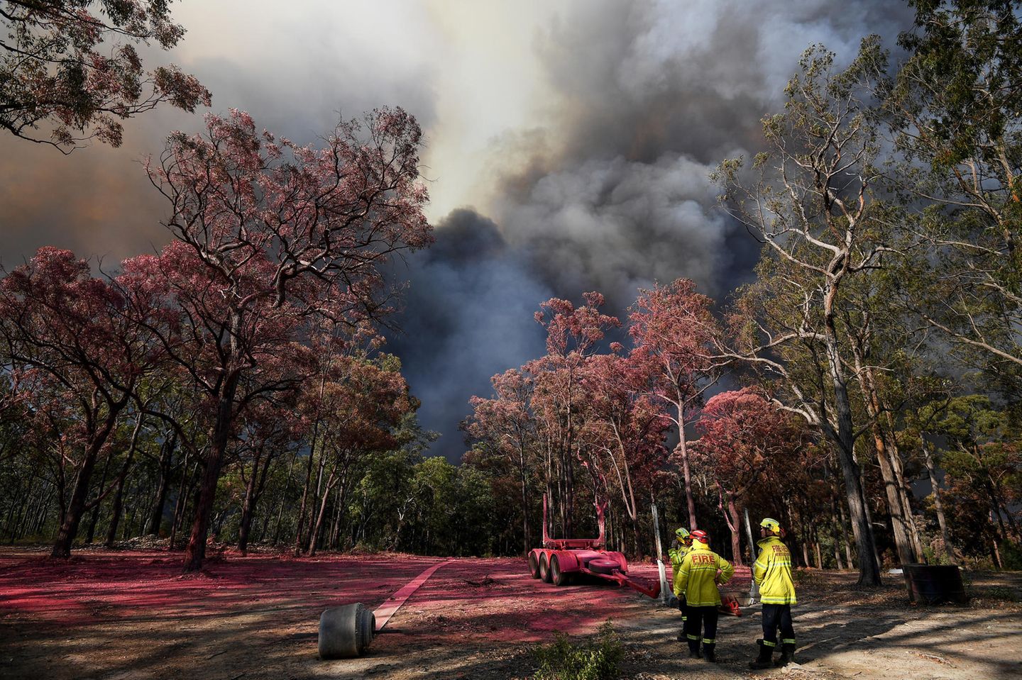 Auch für diese Bäume in der Nähe von Colo Heights südwestlich von Sydney könnten die feuerhemmenden Mittel die Rettung vor den nahenden Flammen sein