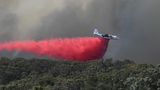 Löschflugzeuge lassen über den vom Feuer betroffenen und bedrohten Gebieten ein pinkfarbenes chemisches Brandschutzmittel ab