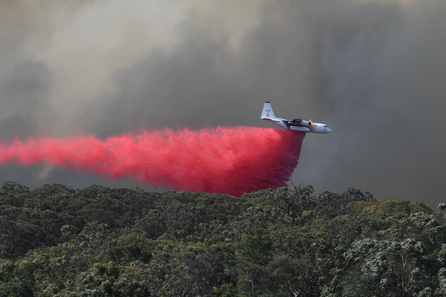 Löschflugzeuge lassen über den vom Feuer betroffenen und bedrohten Gebieten ein pinkfarbenes chemisches Brandschutzmittel ab