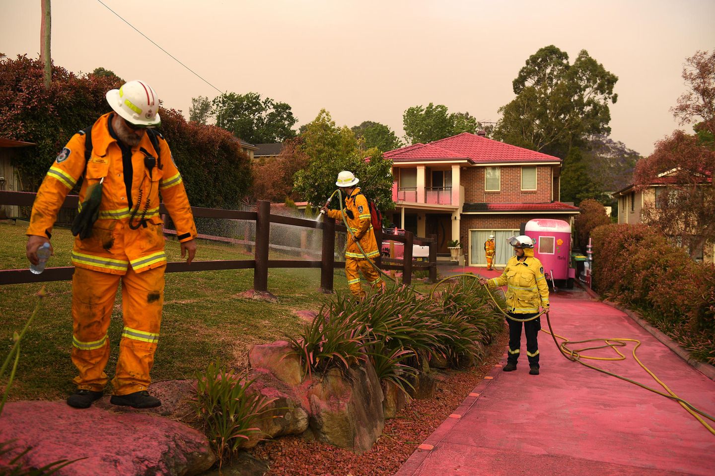Häuser, Wege und Fahrzeuge in diesem Vorort von Sydney haben einen pinkfarbenen Überzug