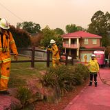 Häuser, Wege und Fahrzeuge in diesem Vorort von Sydney haben einen pinkfarbenen Überzug