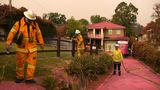 Häuser, Wege und Fahrzeuge in diesem Vorort von Sydney haben einen pinkfarbenen Überzug