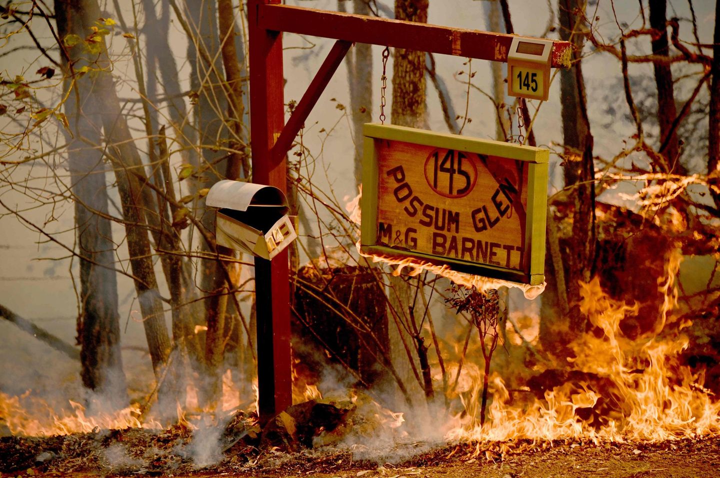 Selbst dieses Schild nahe Taree fällt den Flammen zum Opfer