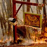 Selbst dieses Schild nahe Taree fällt den Flammen zum Opfer