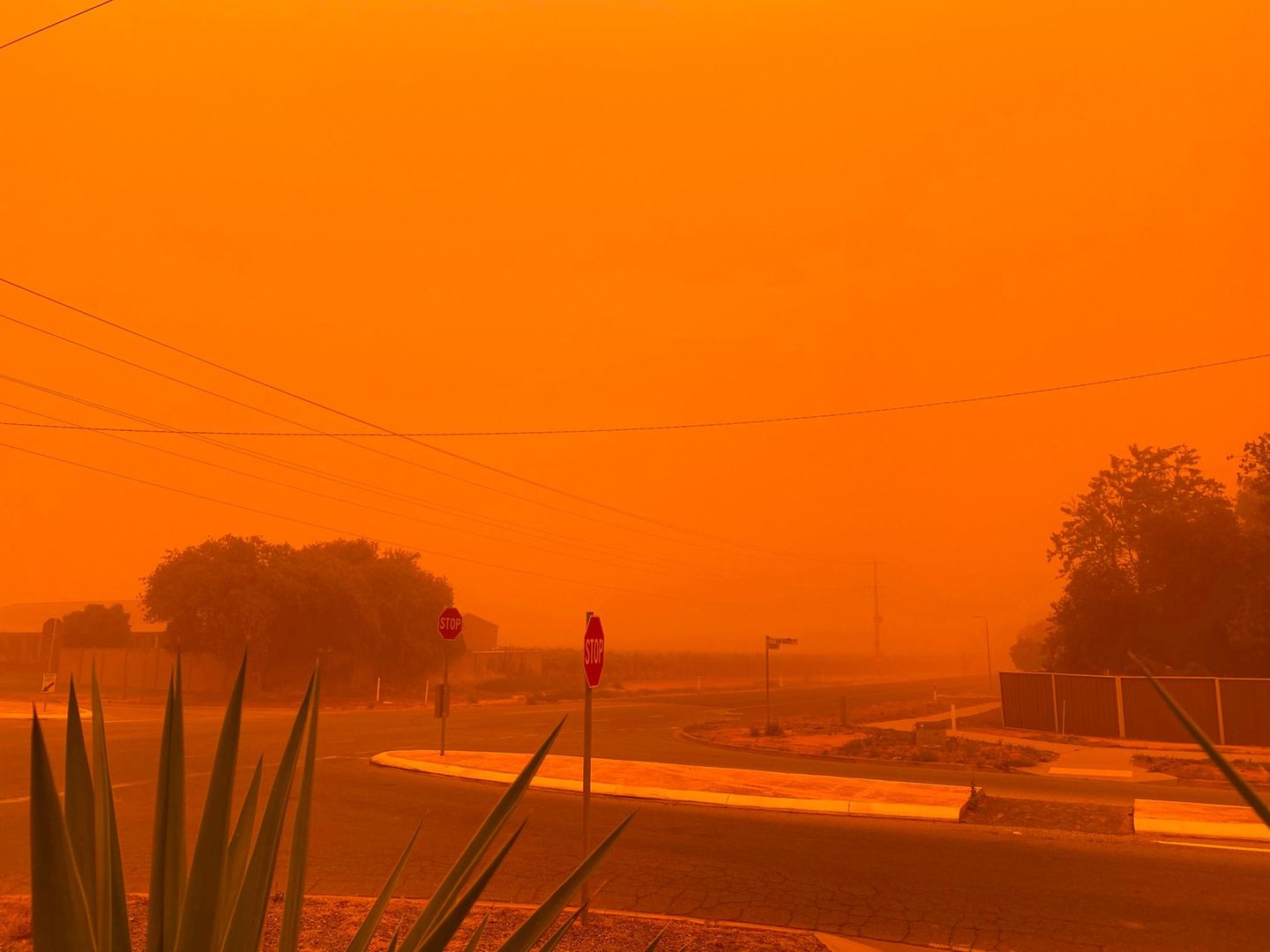 Staubstürme, die durch die Brände verursacht wurden, färben den Himmel in Mildura, im Bundesstaat Victoria, leuchtend Orange