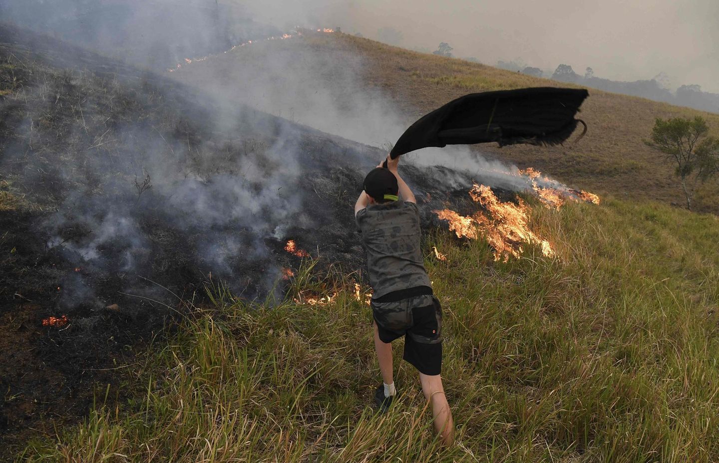 Dennoch beteiligt sich auch die Bevölkerung an der Brandbekämpfung - wie dieser Junge hier. Mit einem Handtuch versucht er, die Flammen auf den Weiden einer Farm im Ort Taree auszuschlagen
