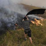 Dennoch beteiligt sich auch die Bevölkerung an der Brandbekämpfung - wie dieser Junge hier. Mit einem Handtuch versucht er, die Flammen auf den Weiden einer Farm im Ort Taree auszuschlagen
