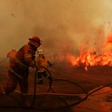Für die Feuerwehrleute ist der Einsatz oft lebensgefährlich. Starke Winde treiben die Flammen teilweise rasend schnell voran.