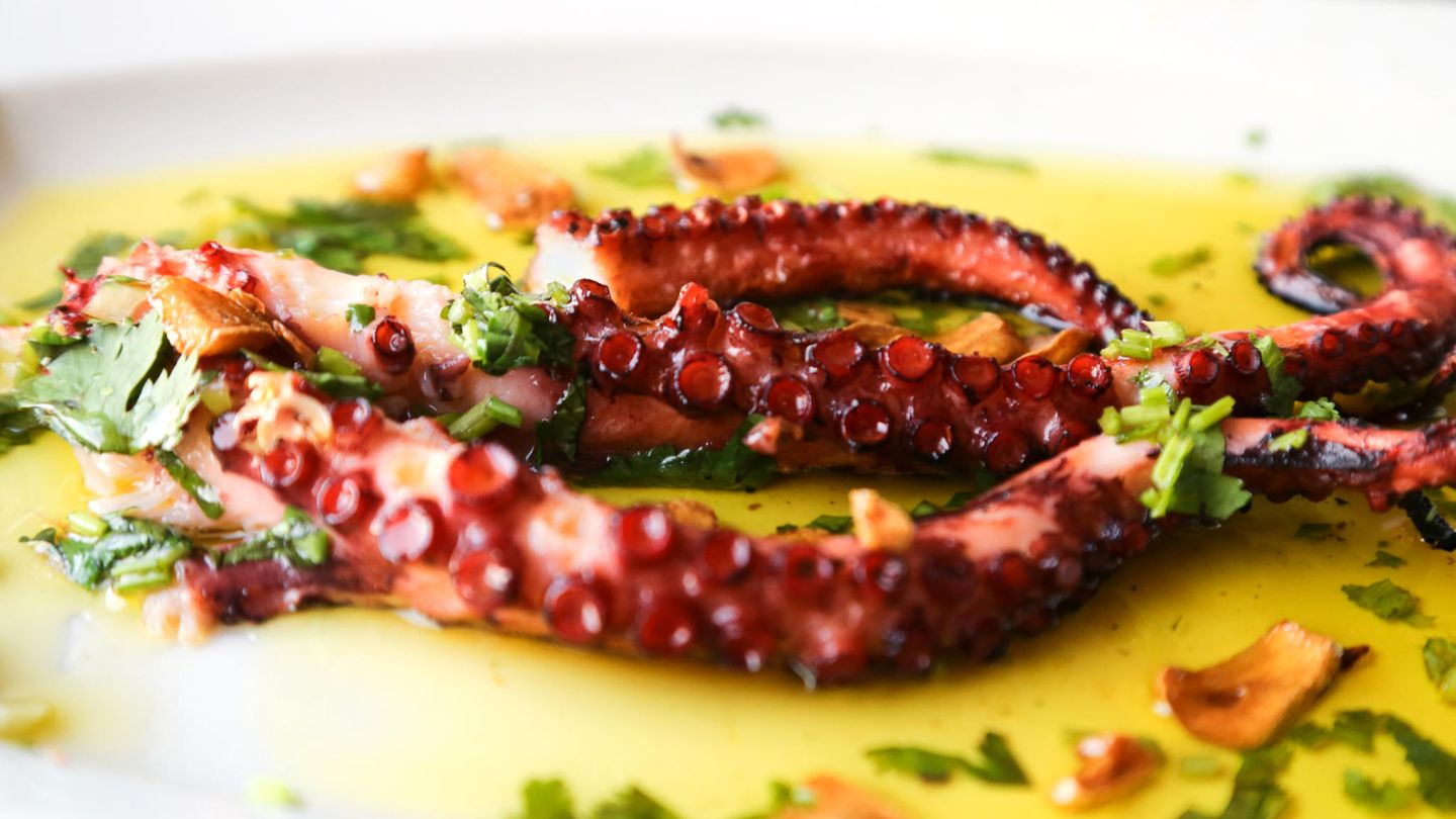 Oktopus in einer Soße auf einem Teller