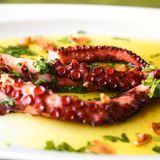 Oktopus in einer Soße auf einem Teller