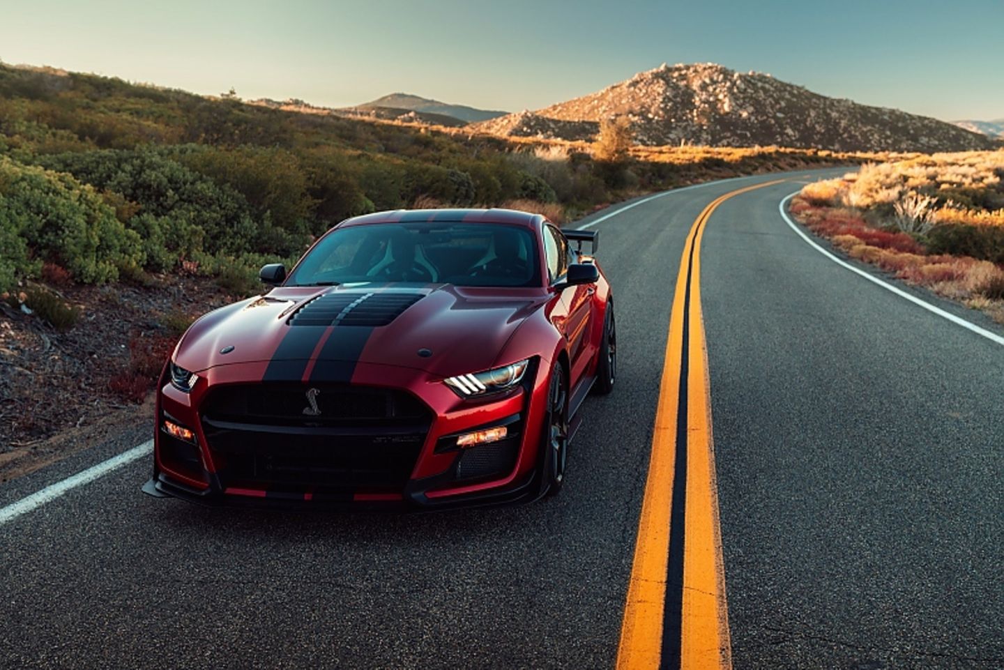 Ford Mustang Shelby GT 500