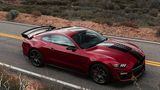 Ford Mustang Shelby GT 500