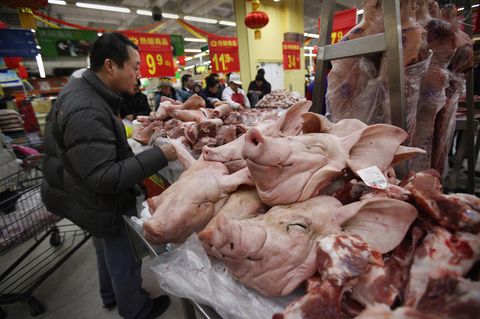 Millionen Tiere starben durch die Schweinepest in China