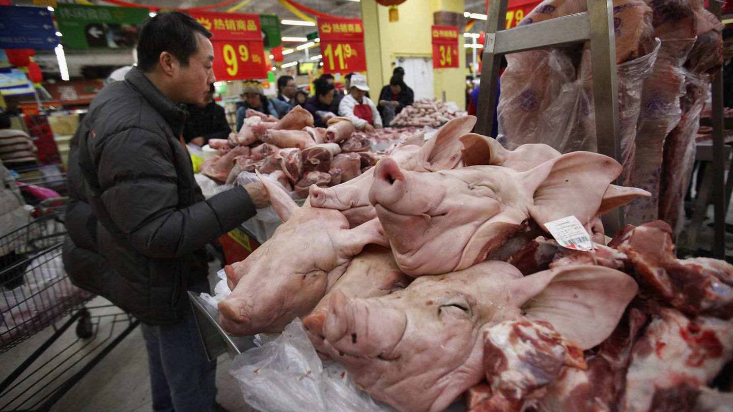 Millionen Tiere starben durch die Schweinepest in China