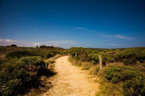 Wildnis in der Nähe der Great Ocean Road in Australien