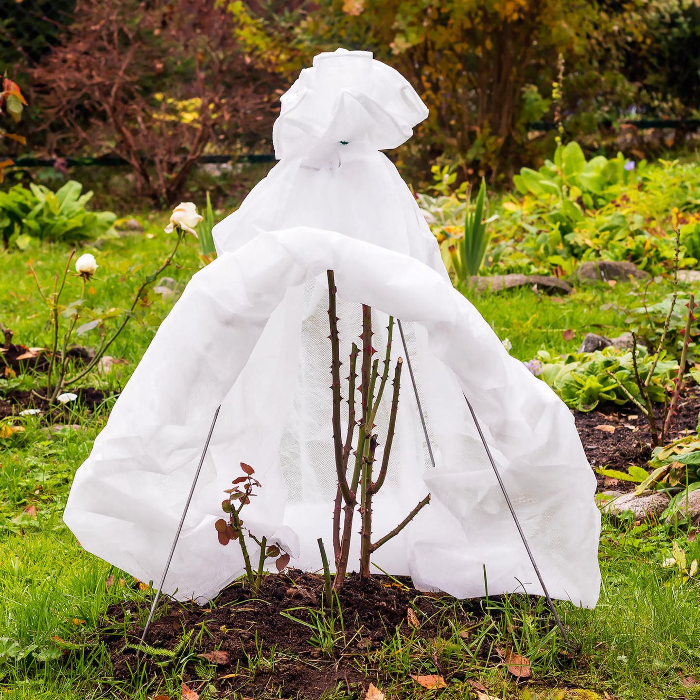 Auch der Garten muss auf den Winter vorbereitet werden